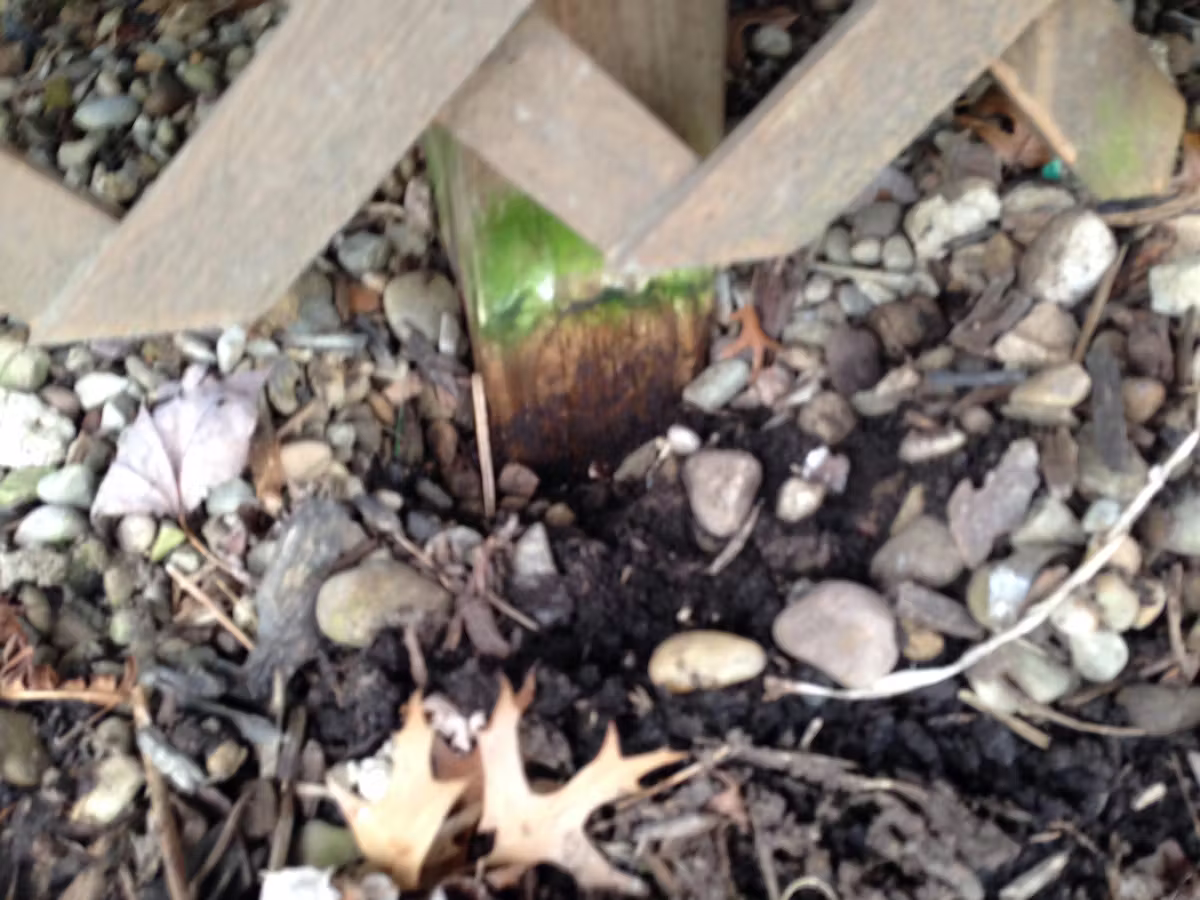 Rotting Wooden Deck Post Near Ground Level